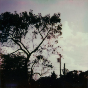 亚洲妓女毛耸耸撒尿
